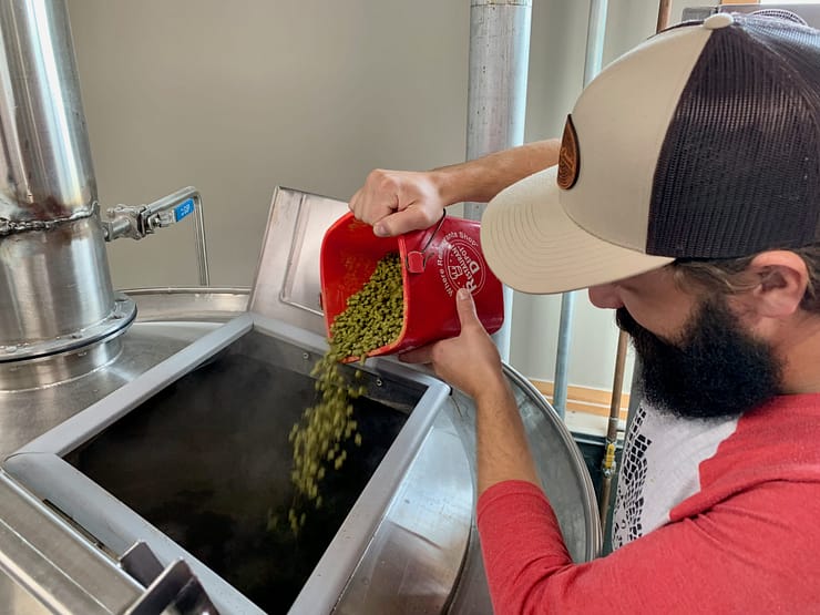 Adding hops to a birch IPA